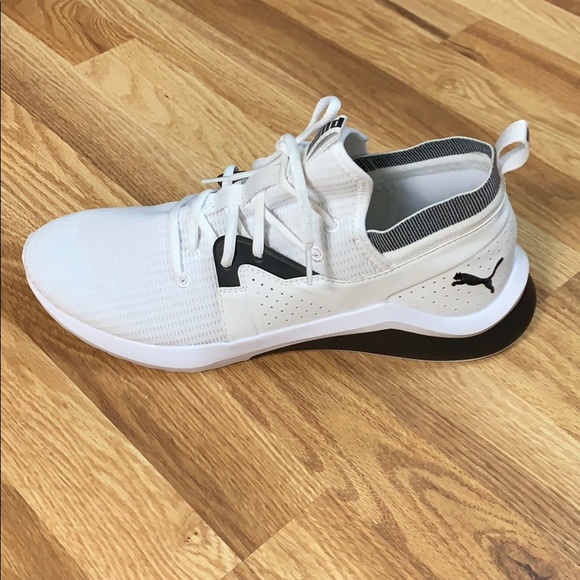 puma emergence future